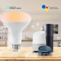 RGB Color Changing Speaker Bulb Alexa Tuya